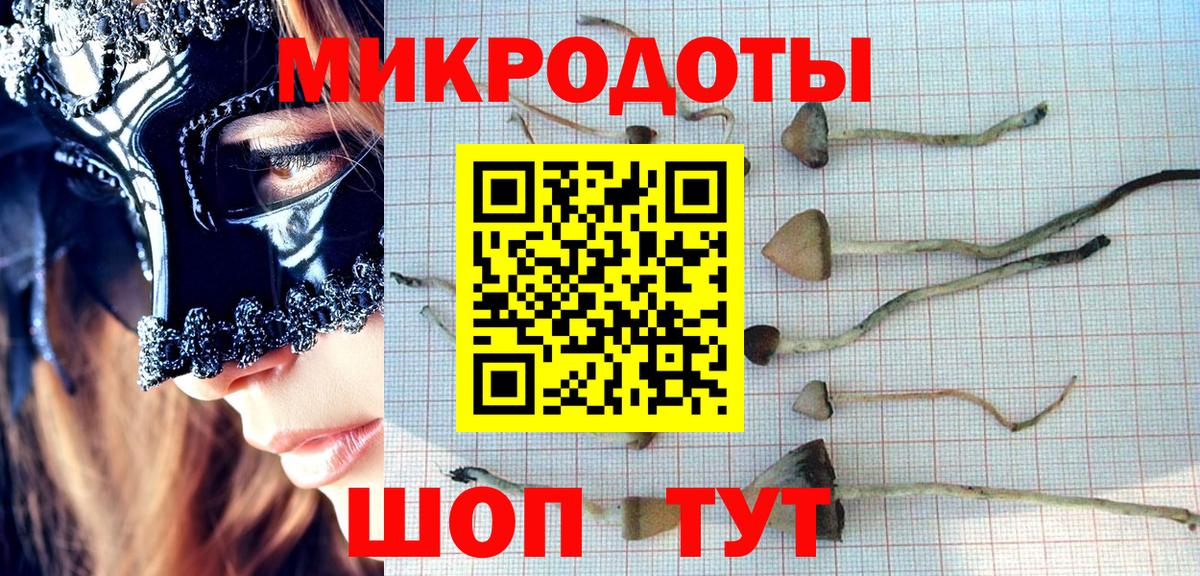 Псилоцибиновые грибы Psilocybine cubensis  Вход с VPN  Галлюциногенные грибы ЛСД  где купить наркотик  Воронеж 